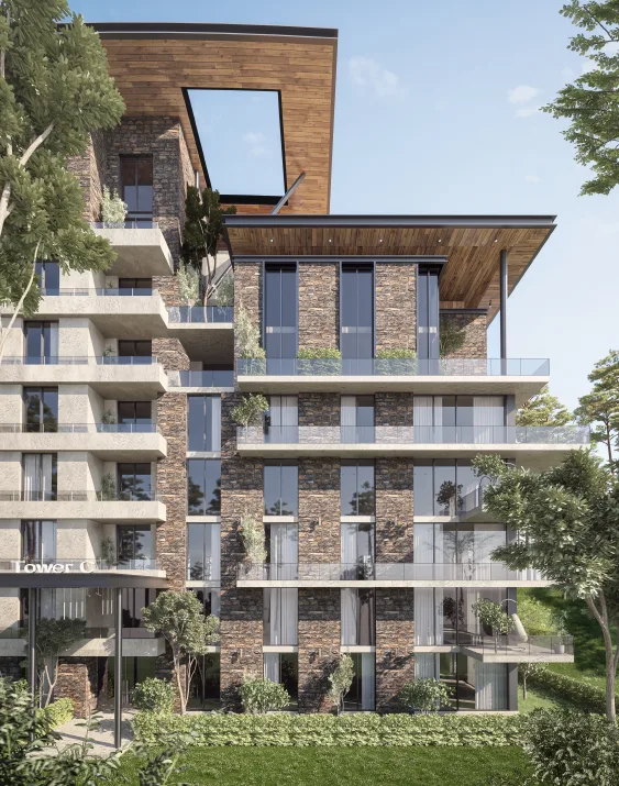 Nest Compound 3